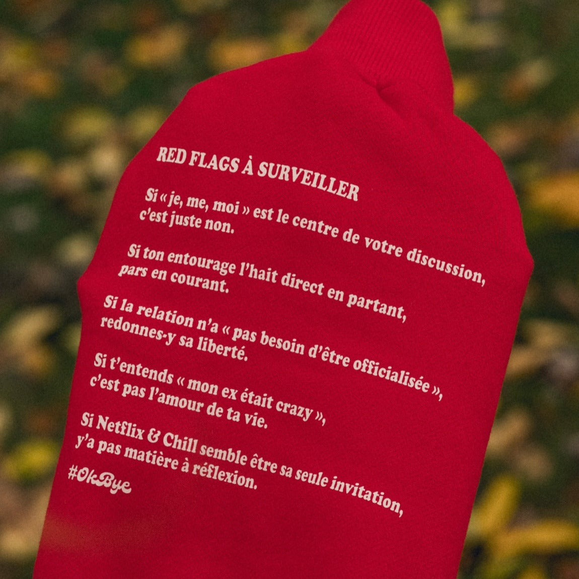 The Red Flags Crewneck